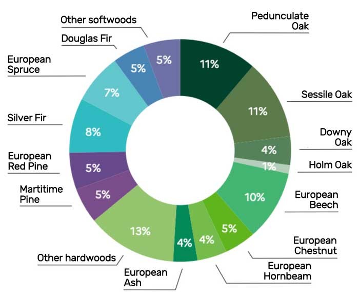 France wood species repartition 2022